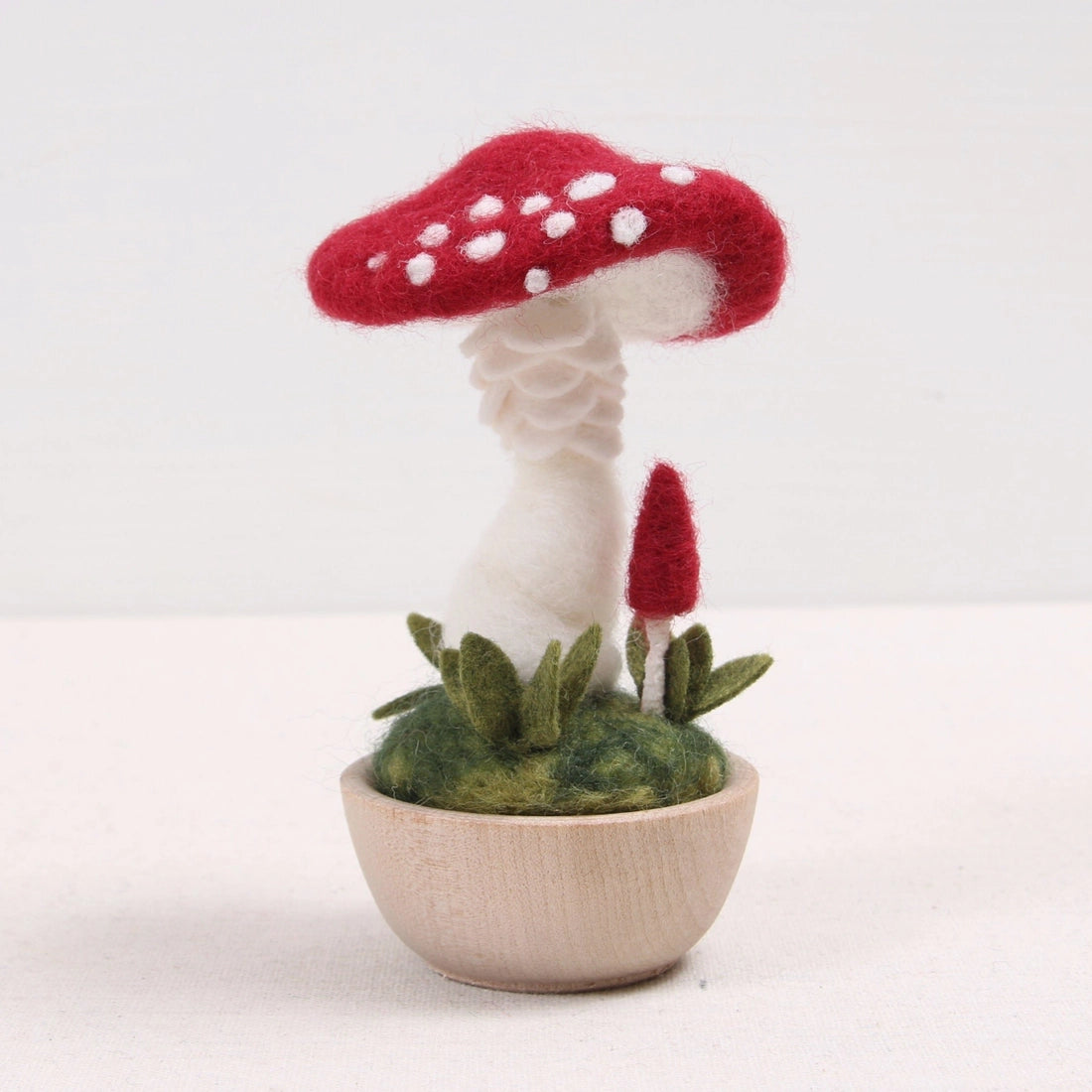Toadstool Needle Felting Kit