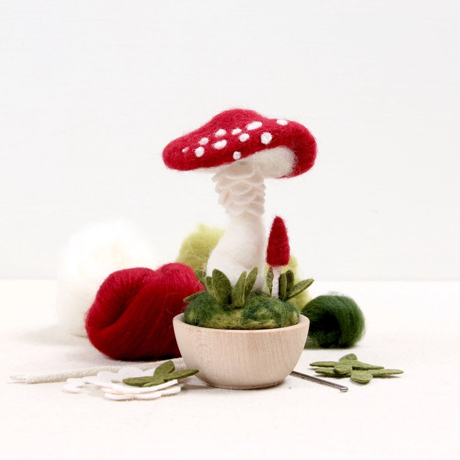 Toadstool Needle Felting Kit