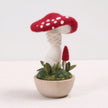 Toadstool Needle Felting Kit