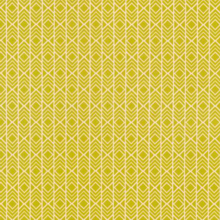 Adventure - Geo Stripe - Pickle