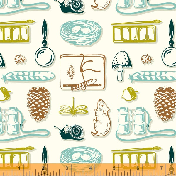 Summer School - Field Day in Ivory