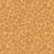 Bumbleberries - Lion
