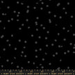 Hole Punch Dots - Black