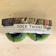 Load image into Gallery viewer, Sock Twins Brights
