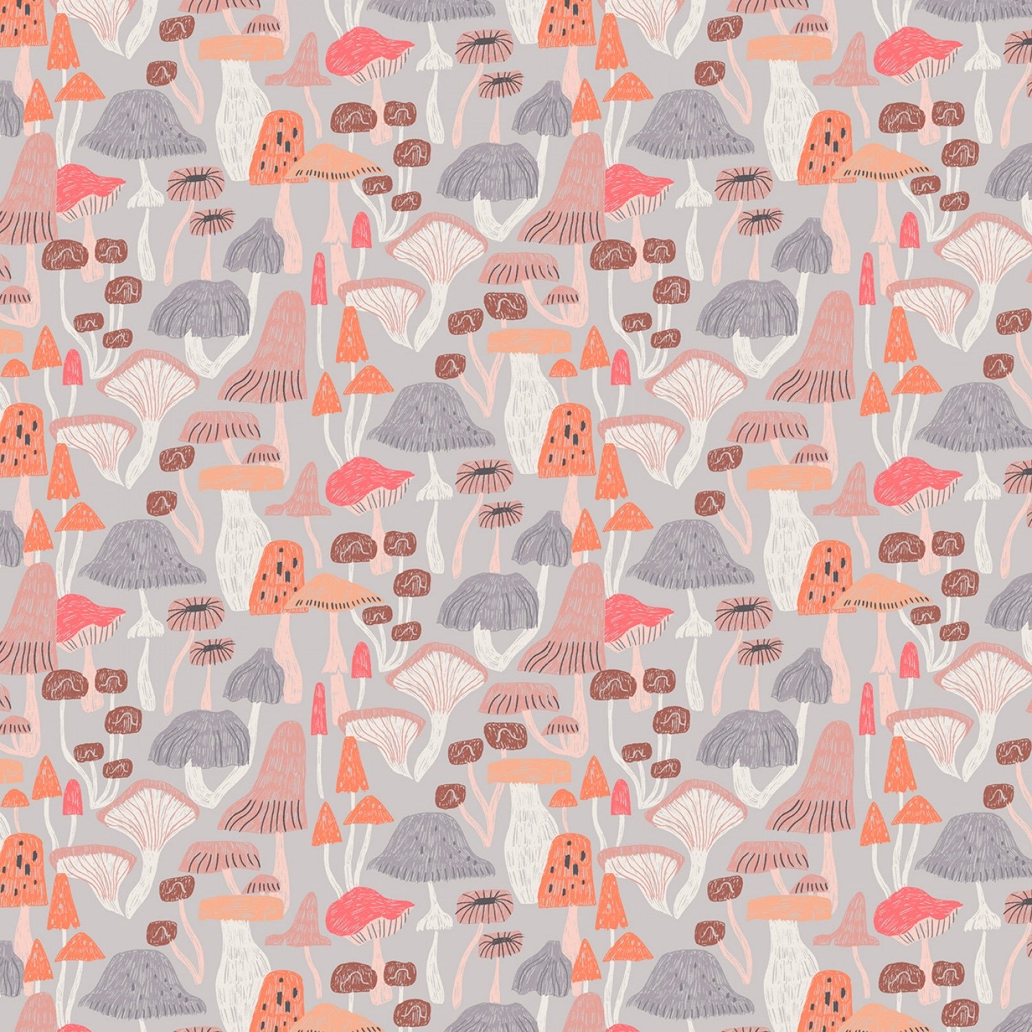 New Here - Mushrooms in Fog