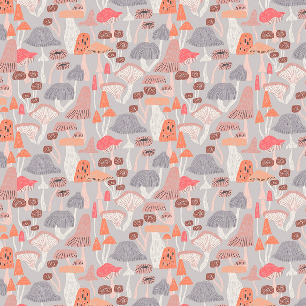 New Here - Mushrooms in Fog