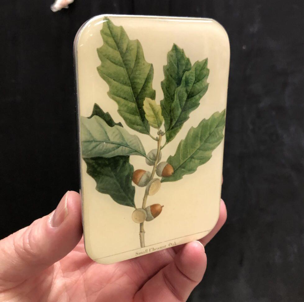 Notions Tins - LARGE