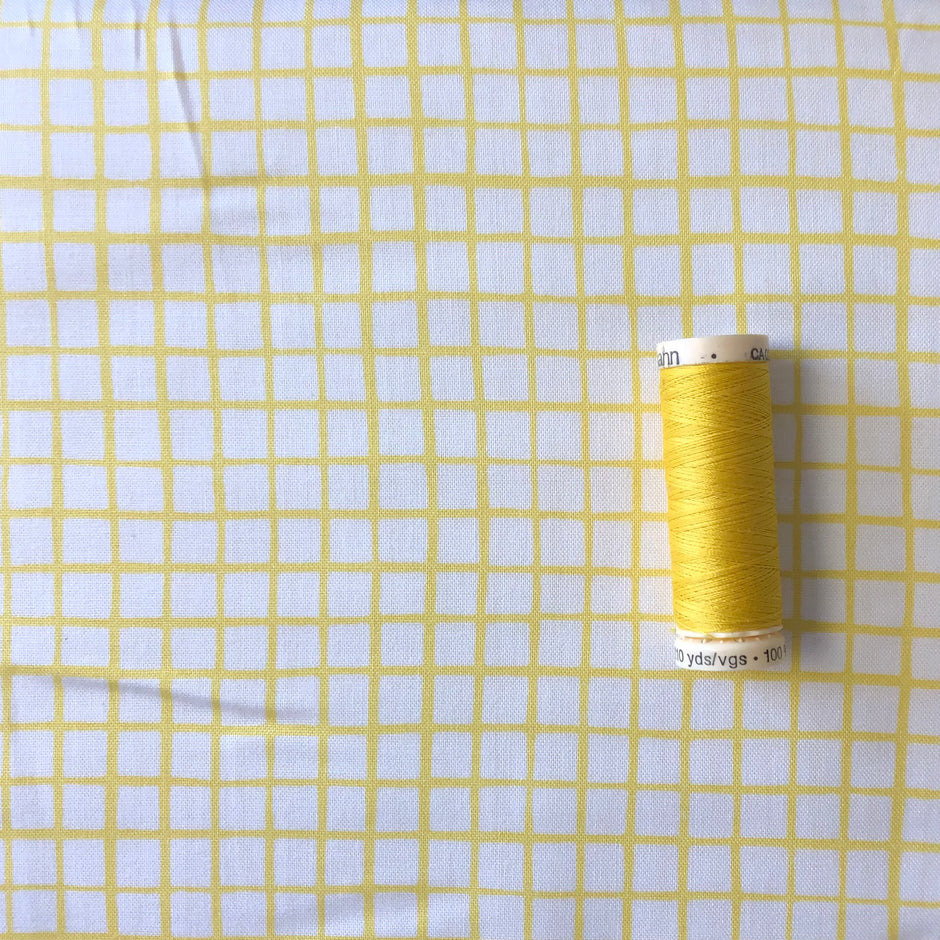 Can Animals Count - Grid in Yellow