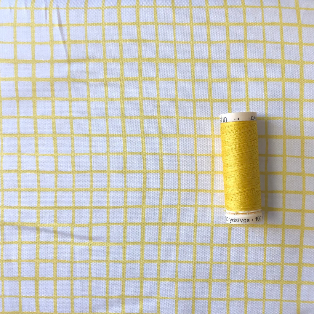 Can Animals Count - Grid in Yellow