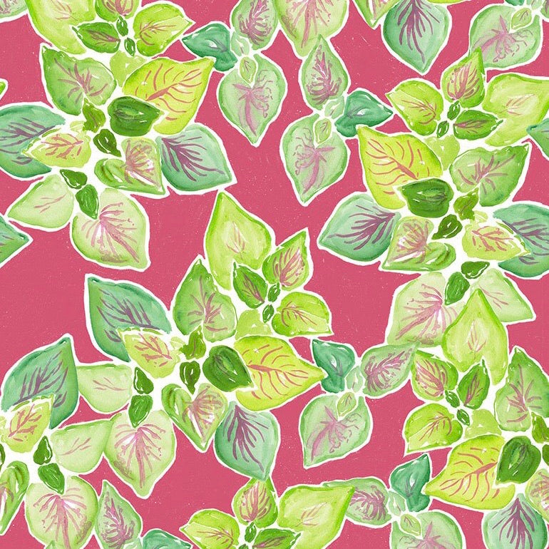 Orangerie - Leafy Garden