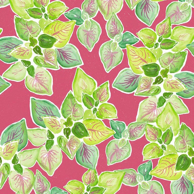 Orangerie - Leafy Garden