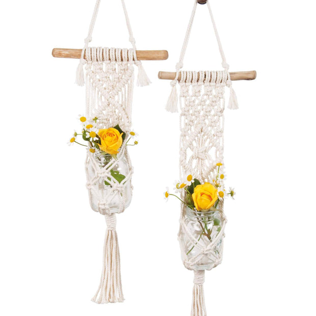 Two Plant Hanger Kit