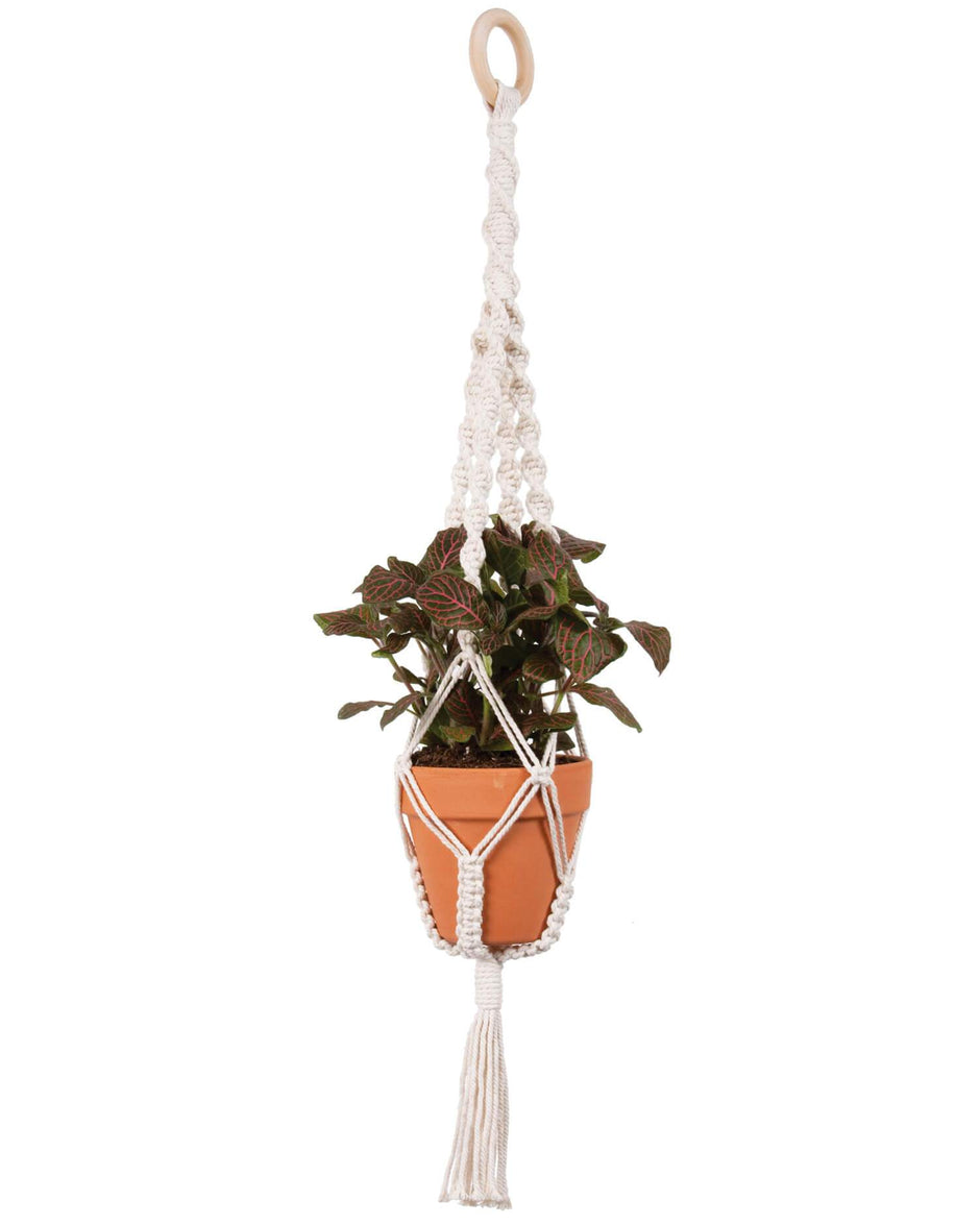 Twist Plant Hanger Kit