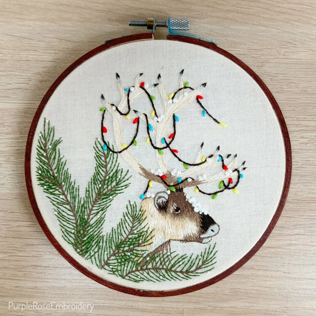 Christmas Reindeer Thread Painting Embroidery Kit