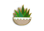 Zebra Plant Needle Minder